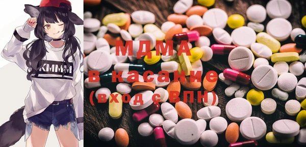 дживик Туринск