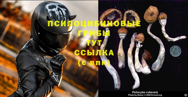прущие крисы Бородино