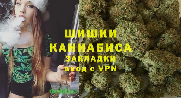прущие крисы Бородино