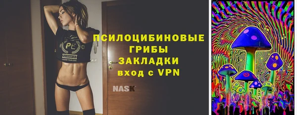 mdpv Богданович