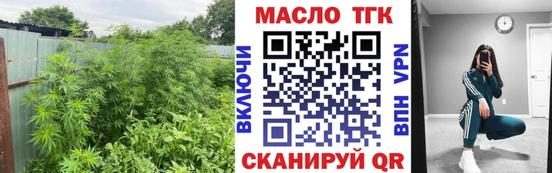 как найти закладки  Камызяк  Дистиллят ТГК Wax 