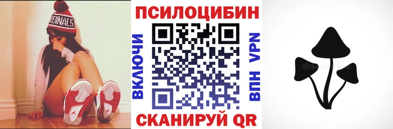 гидра ССЫЛКА  Камызяк  Галлюциногенные грибы Psilocybine cubensis  сколько стоит 